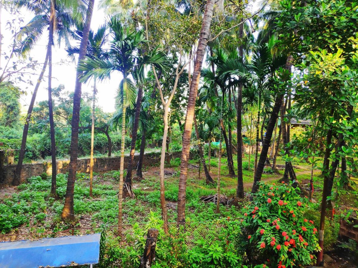 Ashish Baug Cottage Alībāg Buitenkant foto