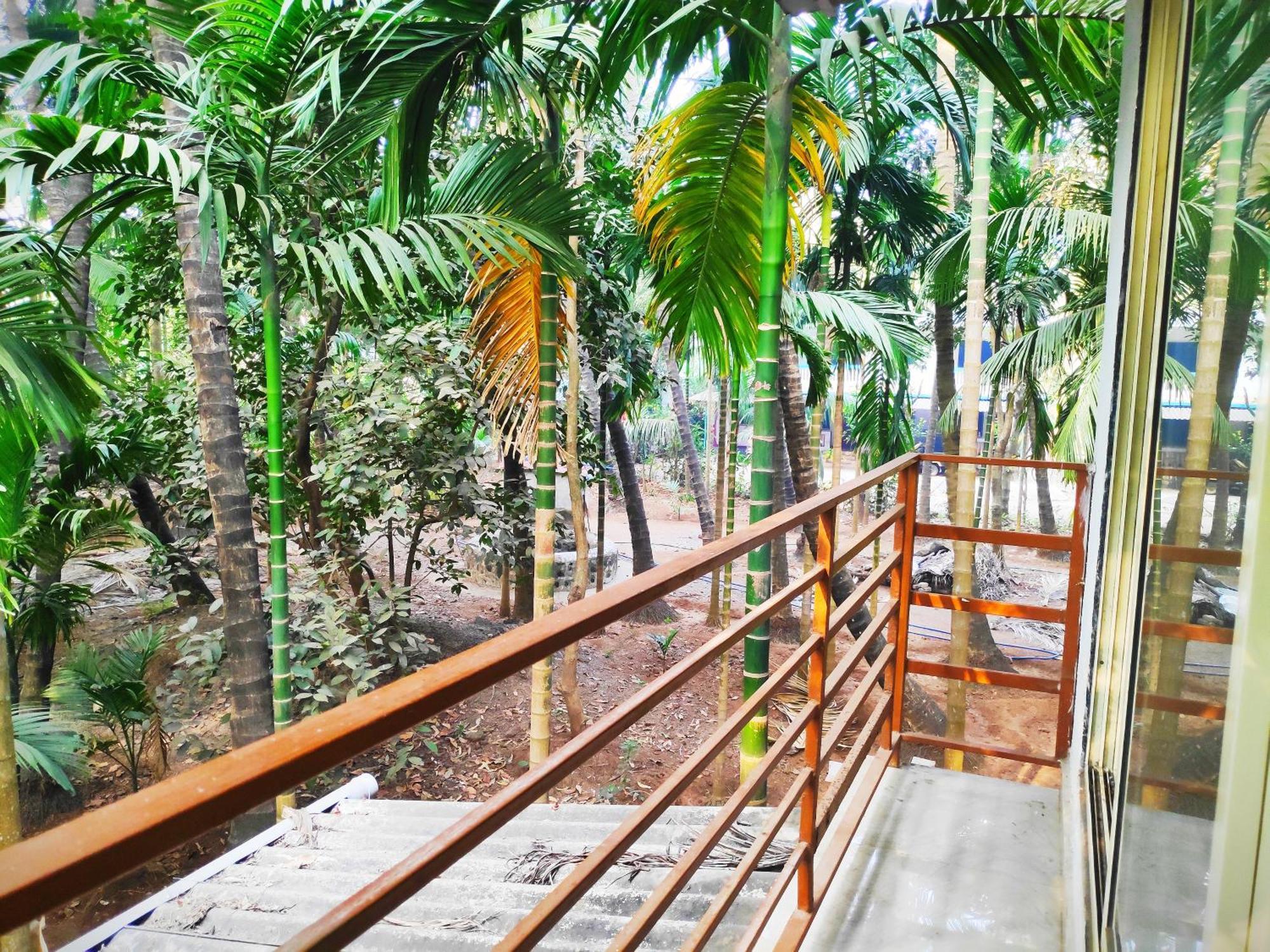 Ashish Baug Cottage Alībāg Kamer foto